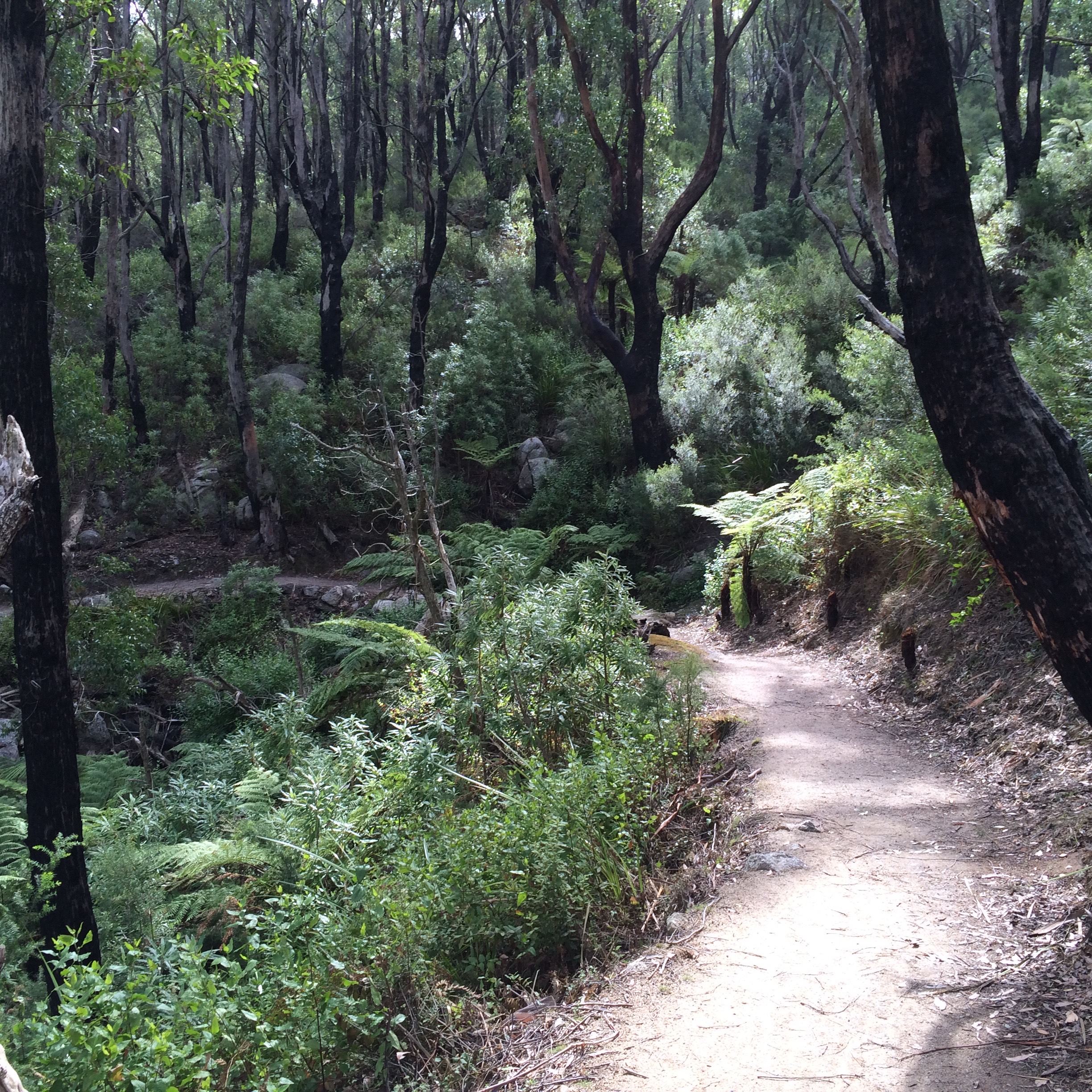 Narratives help us navigate a complex world - (c)Bard 2015