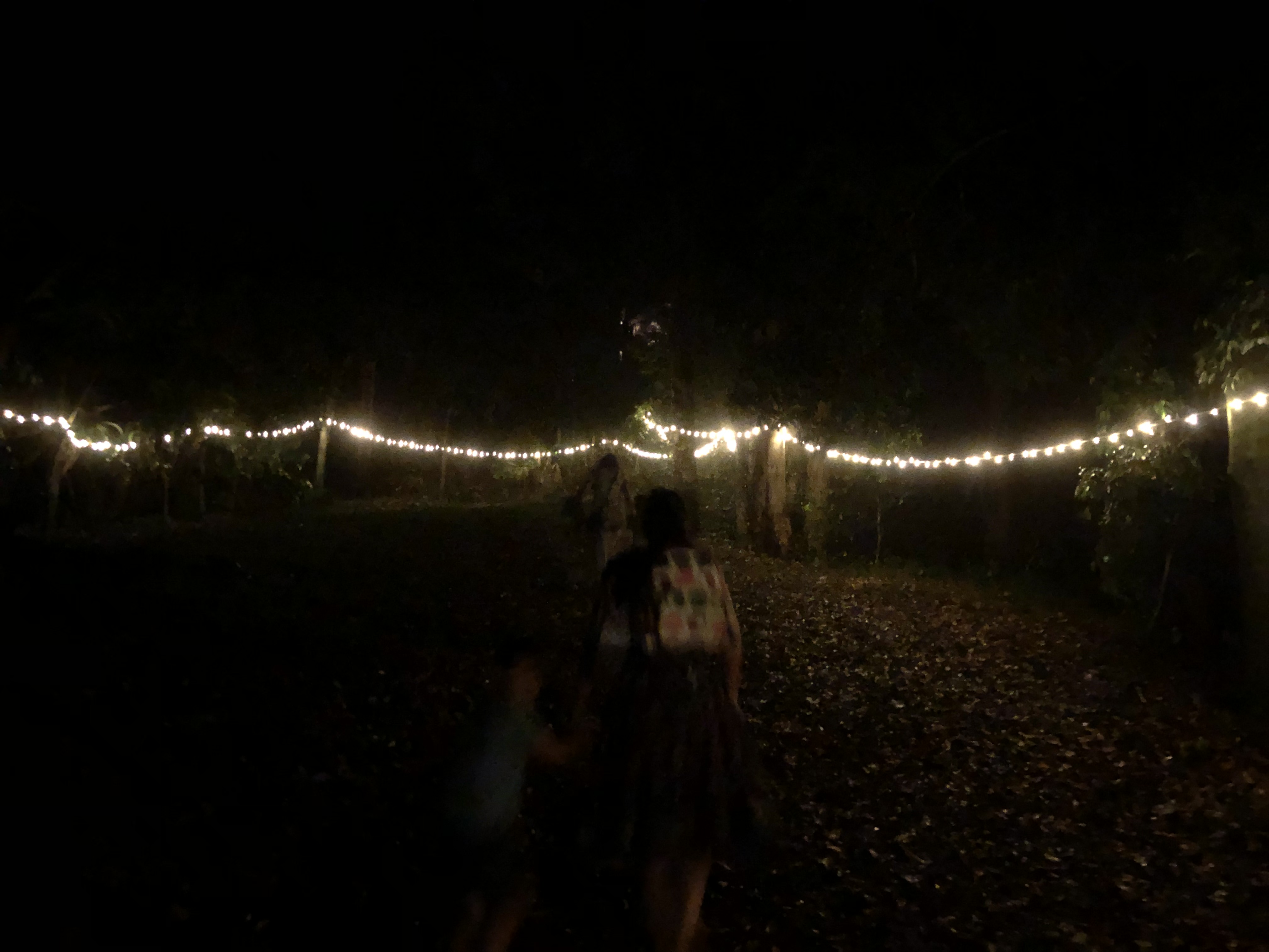 Looking for a path through the darkness - (c) Bard 2018