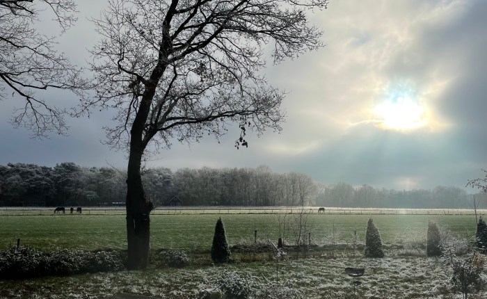 My Country of Birth is Reclaiming&nbsp;Me