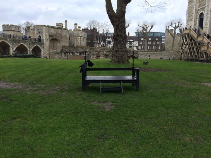 Two ravens on an empty bench