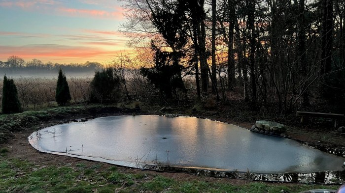 The pond, frozen